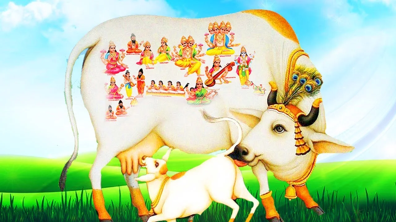 Goshala